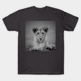 Lion Cub - Black and white T-Shirt